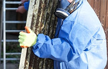 Asbestos removal